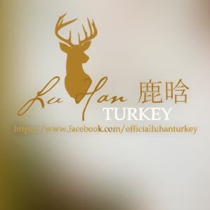 Lu Han'ın yer aldığı tüm haber, röportaj, dizi, film ve program çevirileri için~ ⚡ Turkish Fanpage of Lu Han ⚡ All for Lu Han
