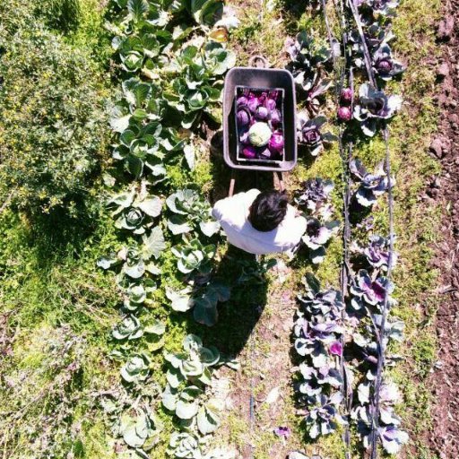 francosegesso's profile picture. 