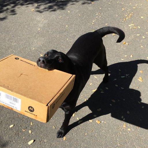 My name is #Bubba. I #recycle #camp #eat #treats 🐾I am #labradorretriever + #sustainable #allstar
https://t.co/3j578nBY6k