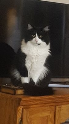 andie561's profile picture. Nana, mom, conservative, true Texan, MAGA!