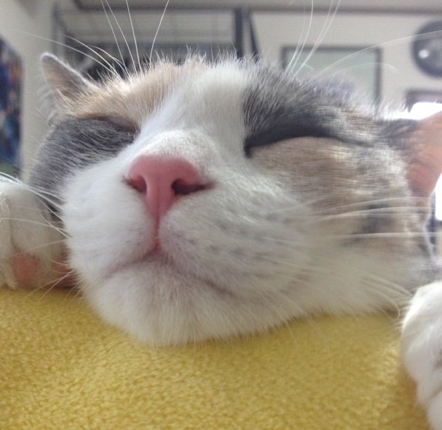 HAGIHAGI21's profile picture. 美容サロンの広告制作・マーケティング担当。