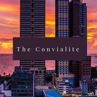 H - 7.(@THECONVIALITE) 's Twitter Profile Photo