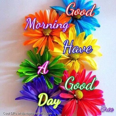 Lovesuman4's profile picture. 100