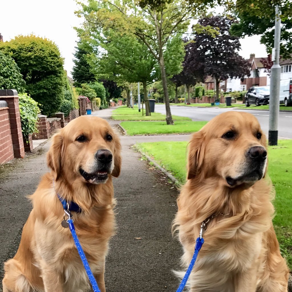 TrueVB's profile picture. Enabling Information in ever changing IT & Legal Areena.