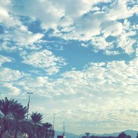 طهر السماء 🇸🇦🇶🇦 (@nqoz3vouwk6t7yz) 's Twitter Profile