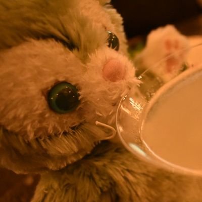 pon_disney_ta's profile picture. Disneyに住みたい🏰 現実は横浜住み。社会人。♀。91-92line。
ジェラくん&ニコくん（D5600📷)&ぺりこ（XPERIA)・友達と。基本はぼっちイン…共通1年生。一眼1年生。ディズニーほぼ初心者。
お友だち（イン/ご飯/お話)募集中(๑•᎑•๑) 呼びタメ◎
無言フォロー許してください(｡﹏｡)