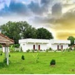 SunBandhavgarh's profile picture. 