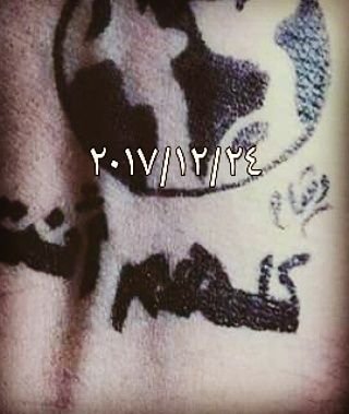 7apep2alpy's profile picture. ‌‌