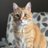 BobbiJo71's profile image