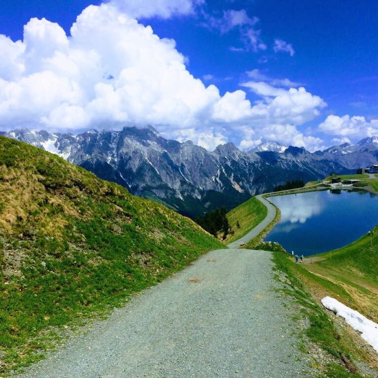 AlexBordino's profile picture. 