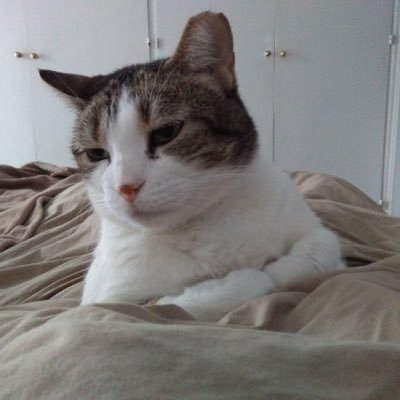 Manonmilenio's profile picture. Amo los animales y la naturaleza