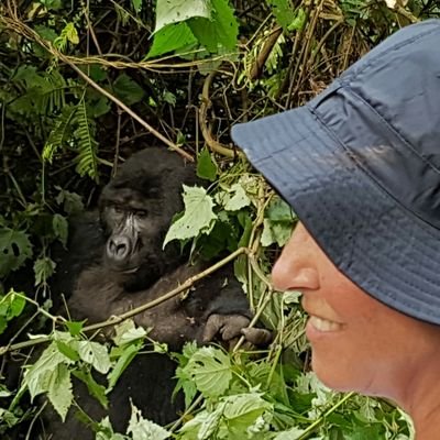 El mundo no puede ser más complicado que esto, ¿o si????
