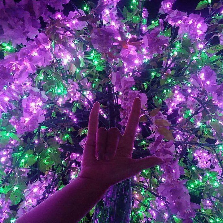 yingmay1995's profile picture. ถ้าไม่เคยเจอคนแย่ๆ ก็จะไม่รู้จักรักแท้เป็นยังไง 💏