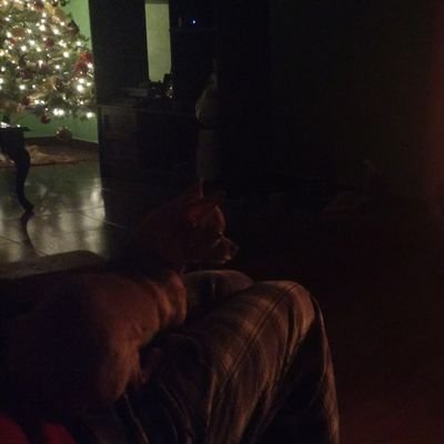 luisanlu's profile picture. despierta México