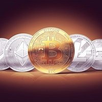 cryptobod88 (@cryptobod88) 's Twitter Profile