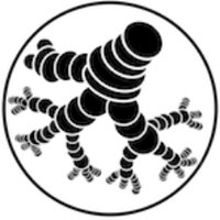 Rhizome Association (@rhizomeasso) 's Twitter Profile Photo Rhizome Association (@rhizomeasso) 's Twitter Profile Photo