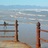 FabFalseBay's profile image