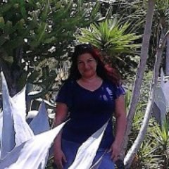 ClevisMorales's profile picture. 