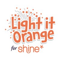 Light It Orange (@lightitorange) 's Twitter Profile