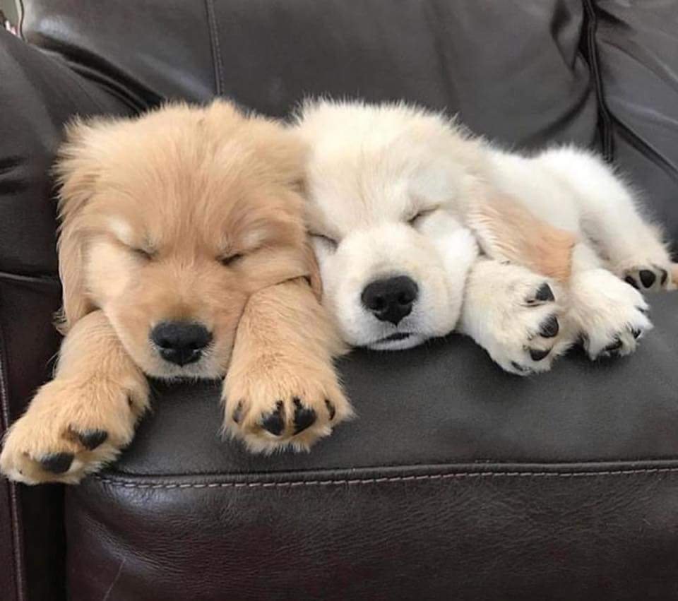 LiamPatrickCam2's profile picture. 