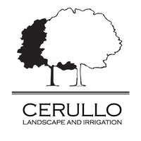 Cerullo Landscape(@CerulloNY) 's Twitter Profile Photo