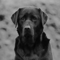 Matt M (@mattmars) 's Twitter Profile