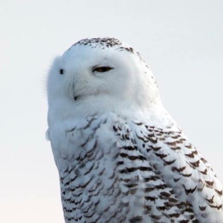 JacquesPere's profile picture. 