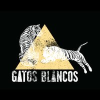 Gatos Blancos (@gatosblancosvt) 's Twitter Profile