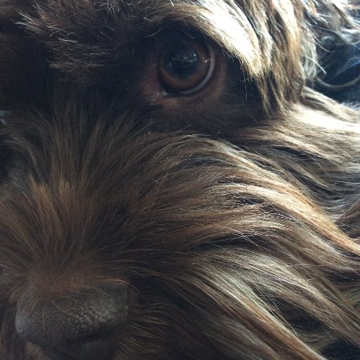 Iain Rogerson (IainRogerson) Twitter