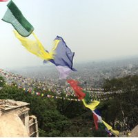 KMJ (@drkmj) 's Twitter Profile