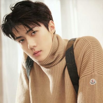 ( Pard ) EXO's Oh Sehun.
