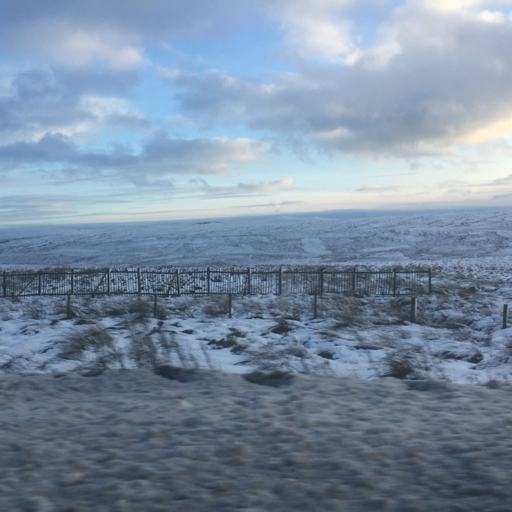 LeadsMason's profile picture. Father of Amber Mason, partner to Kelly Cook, founder of https://t.co/eKUAsnLzyD and responsible for the two coolest dogs in the world