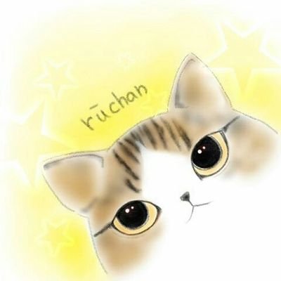 🐈はちわれスコねるちゃん💛4歳♂
🎂2018/8/28
🐈はちわれスコるーちゃん💛永遠の15歳♂
🎂2003/8/18(2018/9/23 虹の橋へ🌈)