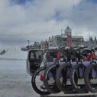 ElectricFatBike(@FatbikeElectric) 's Twitter Profile Photo