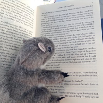 Book Squirrel