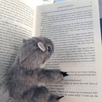 Book Squirrel(@MrBookSquirrel) 's Twitter Profile Photo