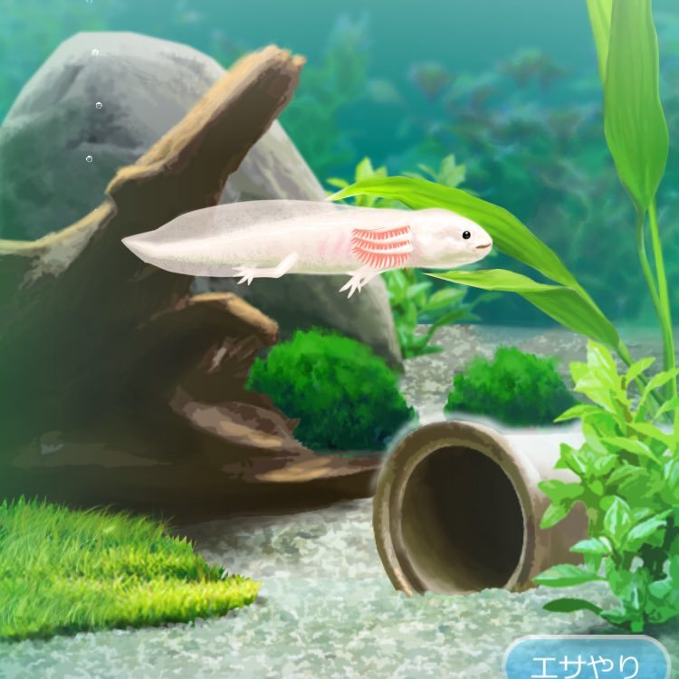 m__nana127's profile picture. リムって～アカウント移行中→@na77mi3