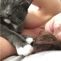 Casey Jayne (@shes_a_harlot) 's Twitter Profile