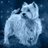 Des_n_Troy's profile image