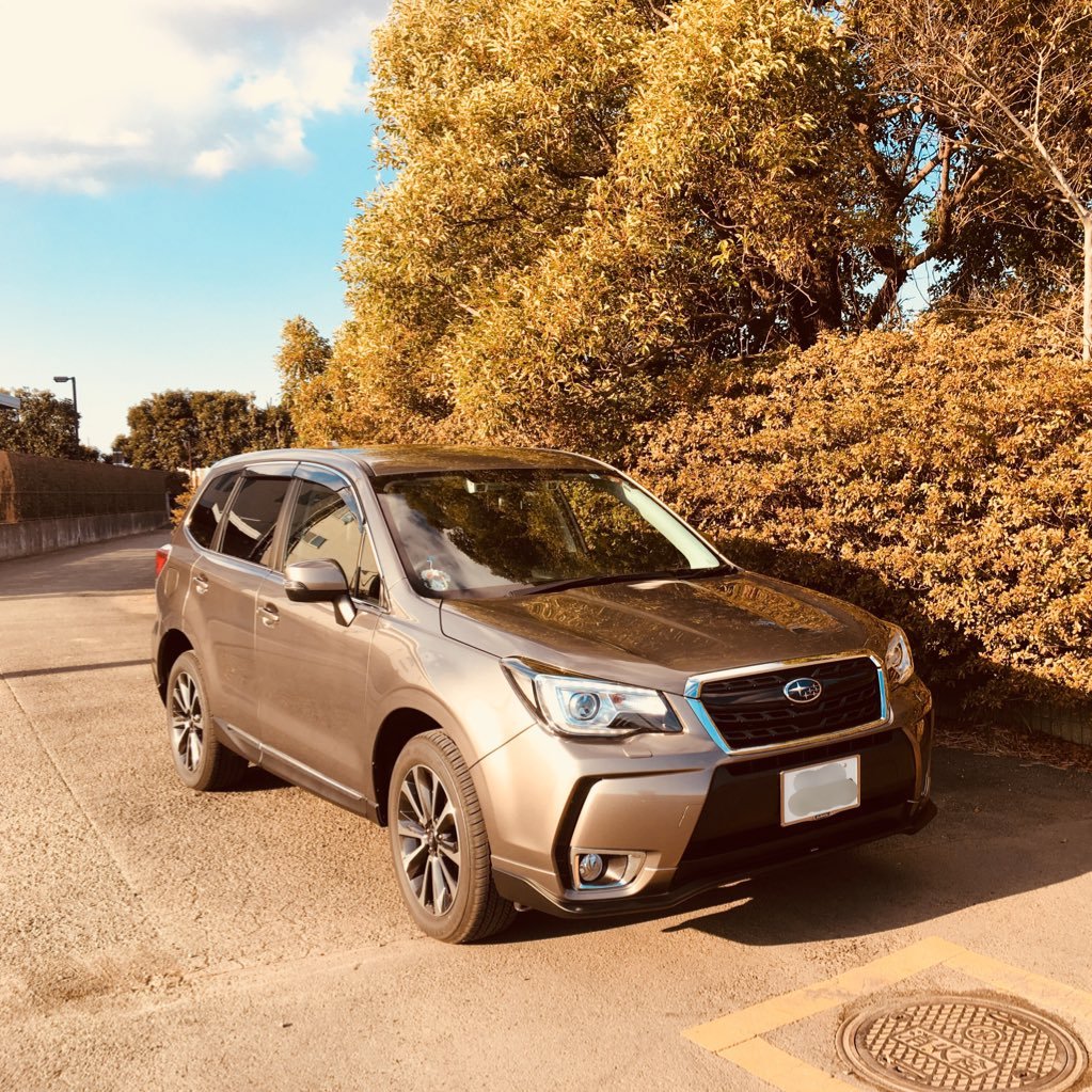 乗り物好きおじさん/車:SUBARU FORESTER(SJG-E)/バイク:YAMAHA CYGNUS X(SED8J)/男ひとり旅/道の駅巡り/猫派/ターボ派/ゆるキャラ/嫌煙家/自宅にガレージを持つのが夢