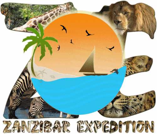 Travel Agent based in Zanzibar & Arusha Tanzania.Our MOTTO- We bring Difference in Tanzania Tourism. 