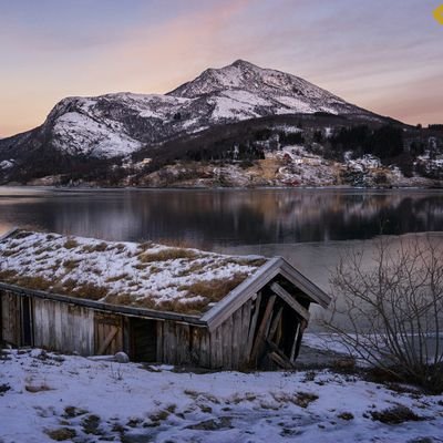 LwaxannaTroi's profile picture. 