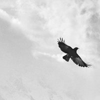 استغفرالله العظيم🕊💛. (@ivop_78) 's Twitter Profile