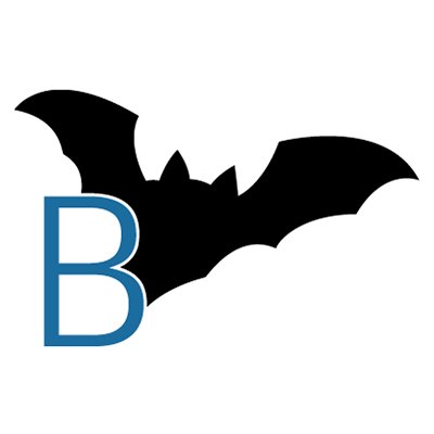 BatAbility Profile Picture