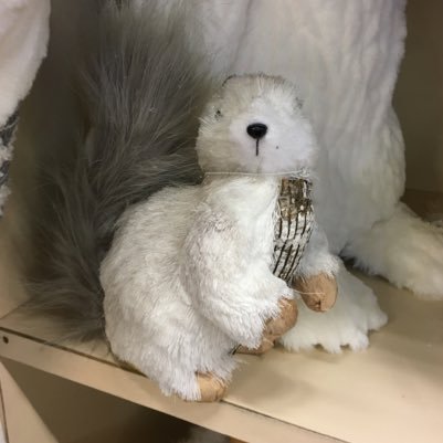 BigBangTheoryC's profile picture. Fan of @bruchmusic and Big Bang Theory!