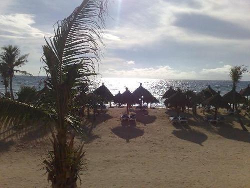 nklhead55's profile picture. Best Picture Ever!