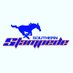 Southern Stampede (@Southstampede) Twitter profile photo