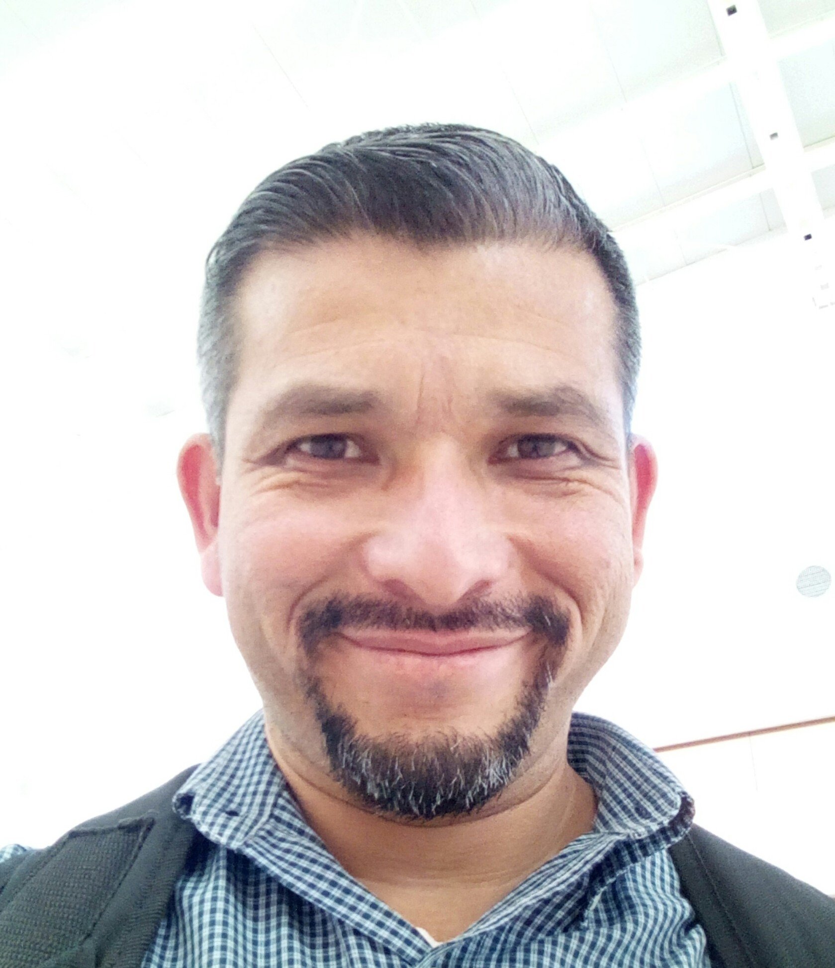 fariaschido's profile picture. 