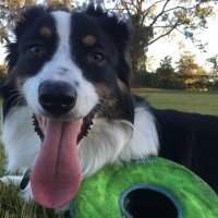 Nate Bartholomay (@natebartholomay) 's Twitter Profile