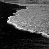 LakeErie (@lakeeriegreat) 's Twitter Profile